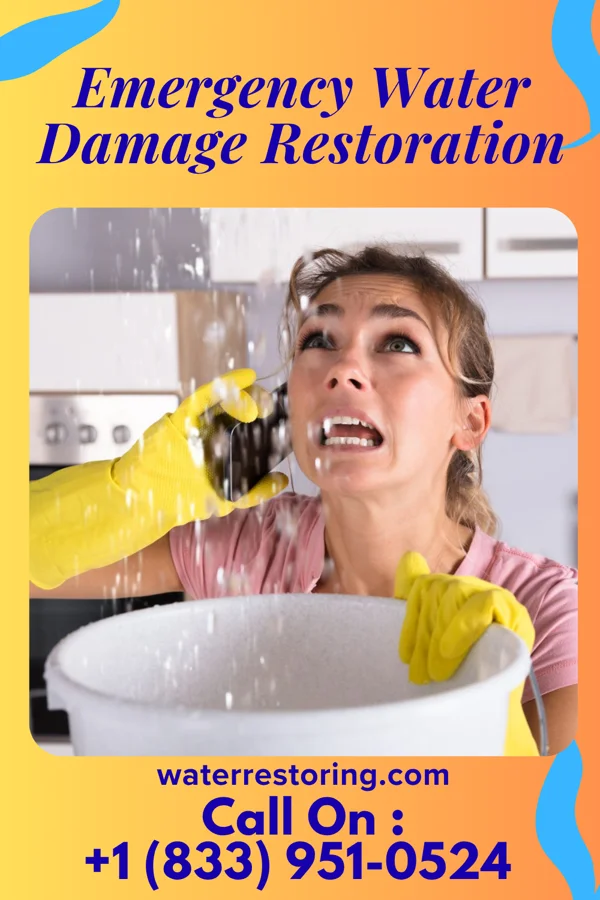 Emergency Water Damage Restoration in Caliente, NV