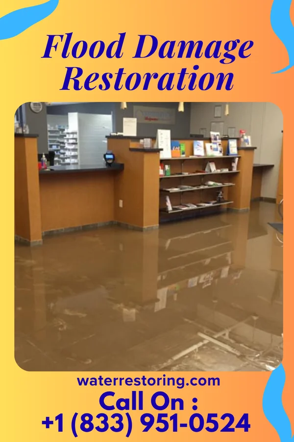 Flood Damage Restoration in Caliente, NV