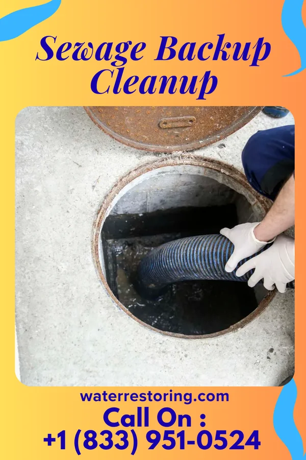 Sewage Backup Cleanup in Caliente, NV
