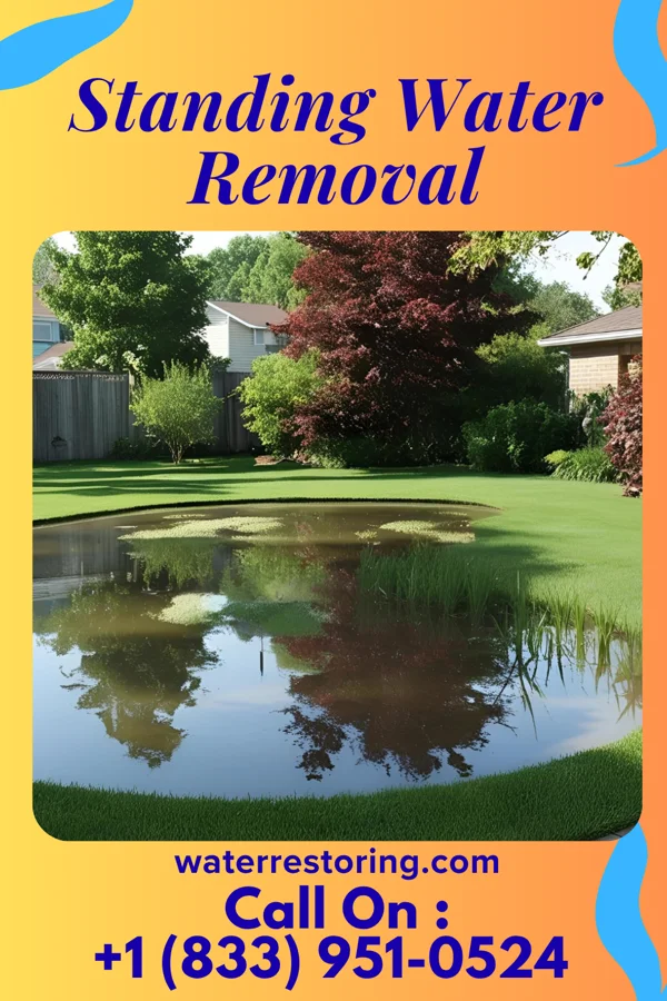 Standing Water Removal in Caliente, NV